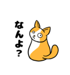 【ぬこ】だんごときなこ三重風訛り【猫】（個別スタンプ：5）