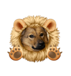 保護犬おヒメのスタンプ（個別スタンプ：3）