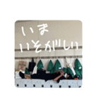 uchiraaaa（個別スタンプ：1）