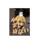 uchiraaaa（個別スタンプ：16）