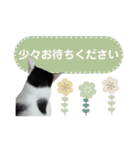 さくらみみ②（個別スタンプ：19）