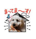 いろはだお（個別スタンプ：15）