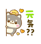 豆柴日和♡大人かわいい（個別スタンプ：27）