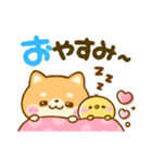 豆柴日和♡大人かわいい（個別スタンプ：31）