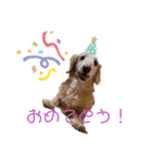 たんそくモップスタンプ（個別スタンプ：11）