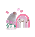 白文鳥のぶんちゃん（個別スタンプ：2）