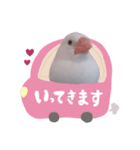 白文鳥のぶんちゃん（個別スタンプ：7）