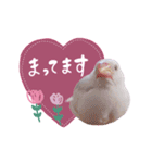 白文鳥のぶんちゃん（個別スタンプ：9）