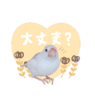 白文鳥のぶんちゃん（個別スタンプ：16）