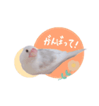 白文鳥のぶんちゃん（個別スタンプ：18）