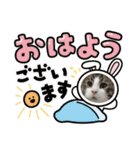 遠藤ぽん太くん2（個別スタンプ：13）