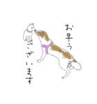 雑種犬のまいにち（個別スタンプ：1）