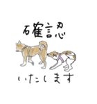 雑種犬のまいにち（個別スタンプ：22）