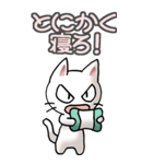 猫ねこにゃんこ その4（白）返事（個別スタンプ：38）