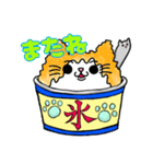 かき氷にゃんず（個別スタンプ：31）