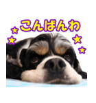 ミルフィーのネガティブスタンプ（個別スタンプ：2）