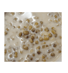 食品シリーズ : 綠豆の牛乳（個別スタンプ：7）