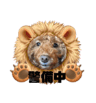 トイプードルのもずくちゃん（個別スタンプ：11）