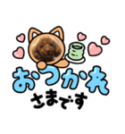 トイプードルのもずくちゃん（個別スタンプ：13）