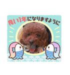 トイプードルのもずくちゃん（個別スタンプ：27）