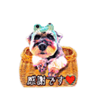 Jackの日常スタンプNo.7（個別スタンプ：4）