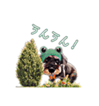 Jackの日常スタンプNo.7（個別スタンプ：24）