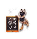 Jackの日常スタンプNo.7（個別スタンプ：32）