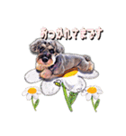 Jackの日常スタンプNo.7（個別スタンプ：35）