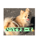 くにすえさんちのうどんくん（個別スタンプ：21）