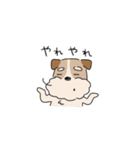 犬のトランプくん2（個別スタンプ：1）