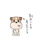 犬のトランプくん2（個別スタンプ：3）