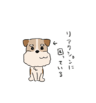 犬のトランプくん2（個別スタンプ：4）