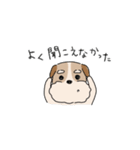 犬のトランプくん2（個別スタンプ：7）