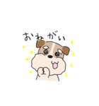 犬のトランプくん2（個別スタンプ：10）