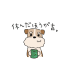 犬のトランプくん2（個別スタンプ：15）