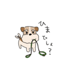 犬のトランプくん2（個別スタンプ：19）