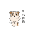 犬のトランプくん2（個別スタンプ：21）