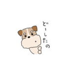 犬のトランプくん2（個別スタンプ：35）