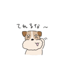 犬のトランプくん2（個別スタンプ：37）