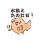 金魚のぼええ！毎日使える基本スタンプ！（個別スタンプ：14）