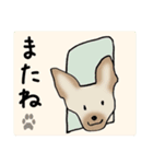 Dogs まったりな犬たち Black_2（個別スタンプ：15）