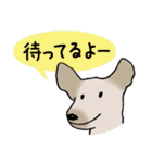 Dogs まったりな犬たち Black_2（個別スタンプ：39）