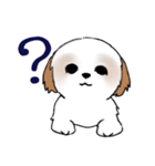 Stickers_Shih Tzu_i シーズースタンプe（個別スタンプ：3）