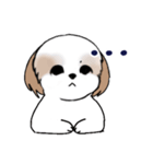 Stickers_Shih Tzu_i シーズースタンプe（個別スタンプ：4）