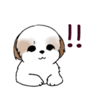 Stickers_Shih Tzu_i シーズースタンプe（個別スタンプ：5）