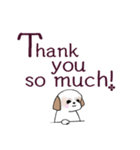 Stickers_Shih Tzu_i シーズースタンプe（個別スタンプ：8）