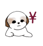 Stickers_Shih Tzu_i シーズースタンプe（個別スタンプ：13）