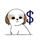 Stickers_Shih Tzu_i シーズースタンプe（個別スタンプ：14）