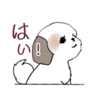 Stickers_Shih Tzu_i シーズースタンプe（個別スタンプ：16）