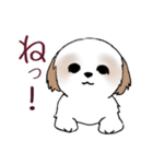 Stickers_Shih Tzu_i シーズースタンプe（個別スタンプ：18）